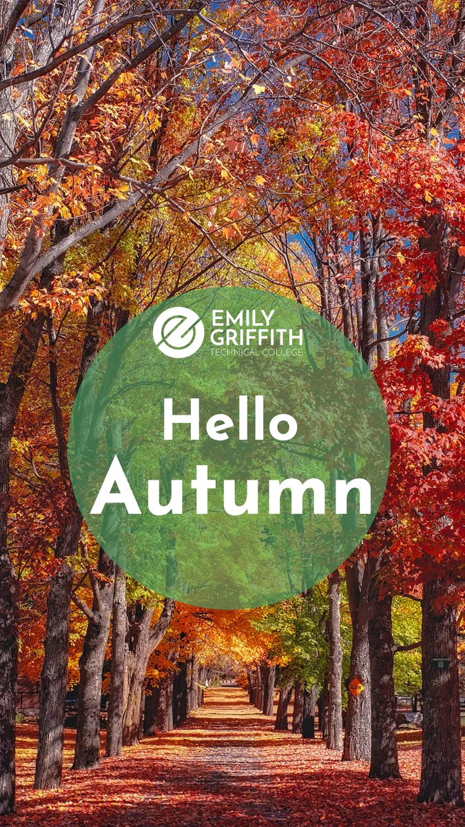 EGTechCollege's tweet photo. Happy First Day of Fall! #fall 🍁🍂🍁🍂

What are you looking forward to this season? 🍂🍁

📍Spring Registration dates are coming up! Stay up to date with all registration information and campus updates by following us! 

#emilygriffith #emilygriffithtechcollege #fall https://t.co/lo6sOY192W