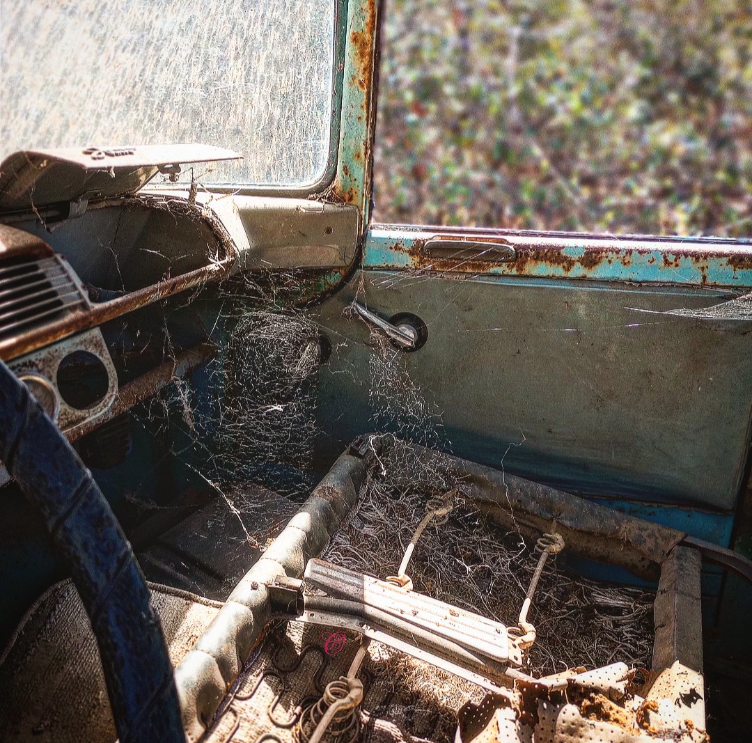 BrezsaurusRex's tweet photo. #timepast #PhotoOfTheDay #photographer #Photos #vintagetruck #photodump #oldtruck https://t.co/UoQJO6hYqu
