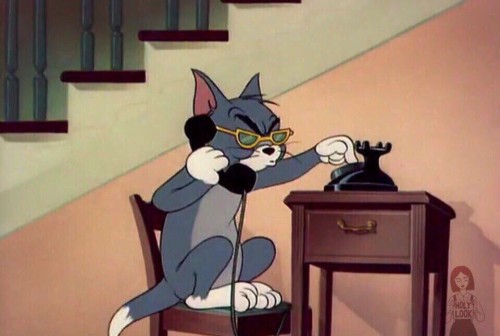 beetles_pesu's tweet photo. My BBC team calling as soon as #Instagram crashed😹
#instagramdown #instagramcrashed https://t.co/k15BJAqanG