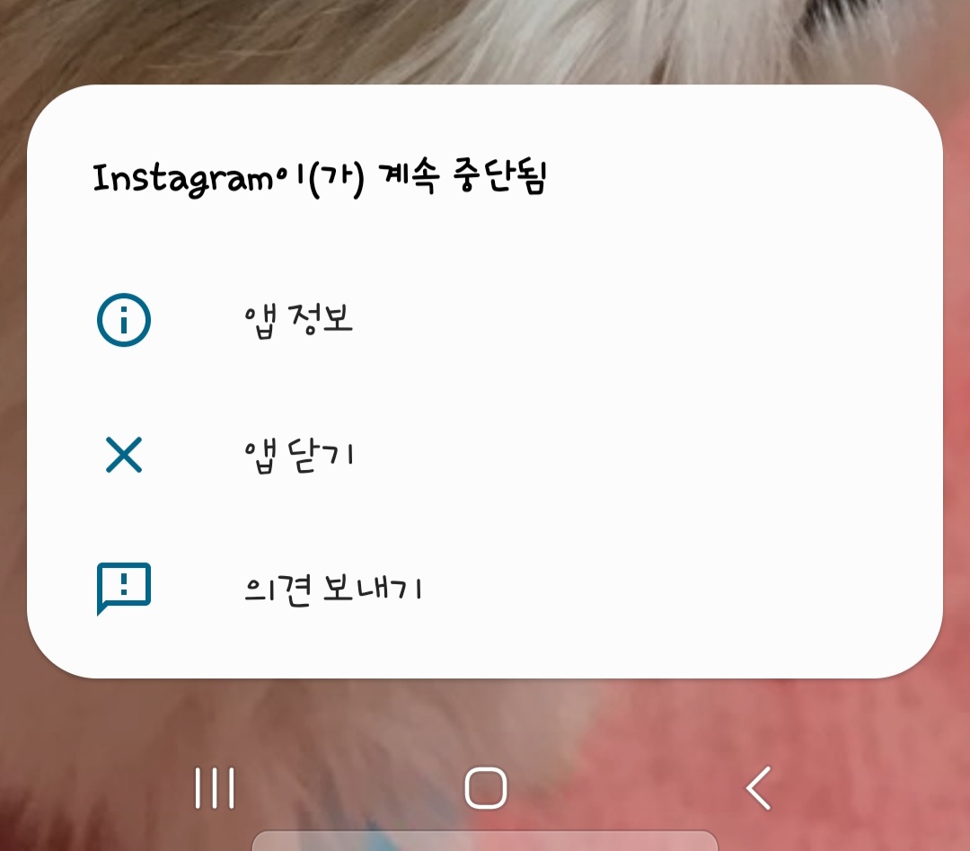 xanhahnax's tweet photo. 오늘 #인스타그램 이상하다~~ https://t.co/e1tII68dhe