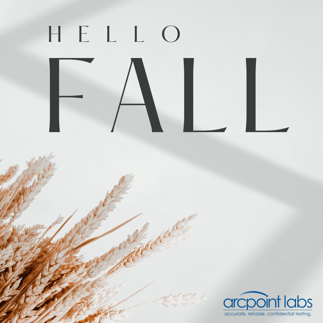 ARCpointRichVA's tweet photo. Fall is here! Take a break from the heat and cozy up in a sweater. Fall is all about trying out new recipes, watching holiday movies, and enjoying a pumpkin spice latte. What are you most excited about for fall?
#ARCpointLabsofRichmondVA #ARCpointLabs #Fall #autumn #nature https://t.co/xG3ZcgCGwS