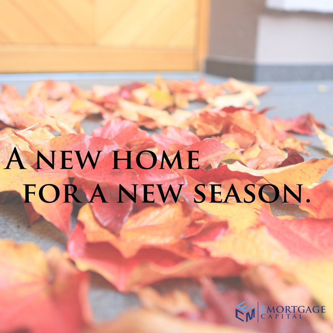 dMagnusX's tweet image. FALL IS HERE! 🍂🍁 Bring on the football, cooler weather, and pumpkin-flavored everything...🤩

But, what about a new home for the new season? It can be your reality!

Contact me today 😉

#firstdayoffall #newhomeowner #fallmove