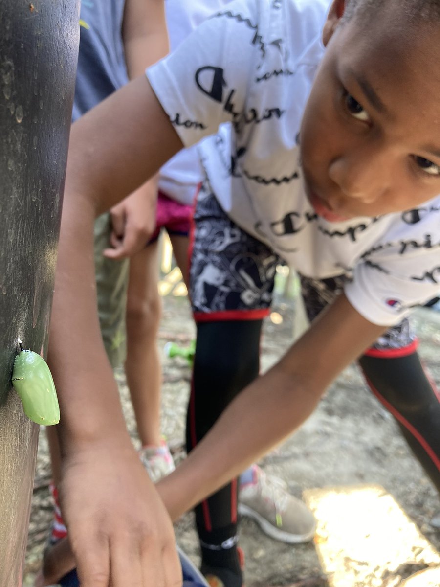 CWExploris's tweet image. The world around our buildings is bursting with life! #connectionstonature