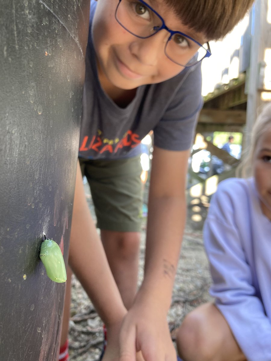 CWExploris's tweet image. The world around our buildings is bursting with life! #connectionstonature