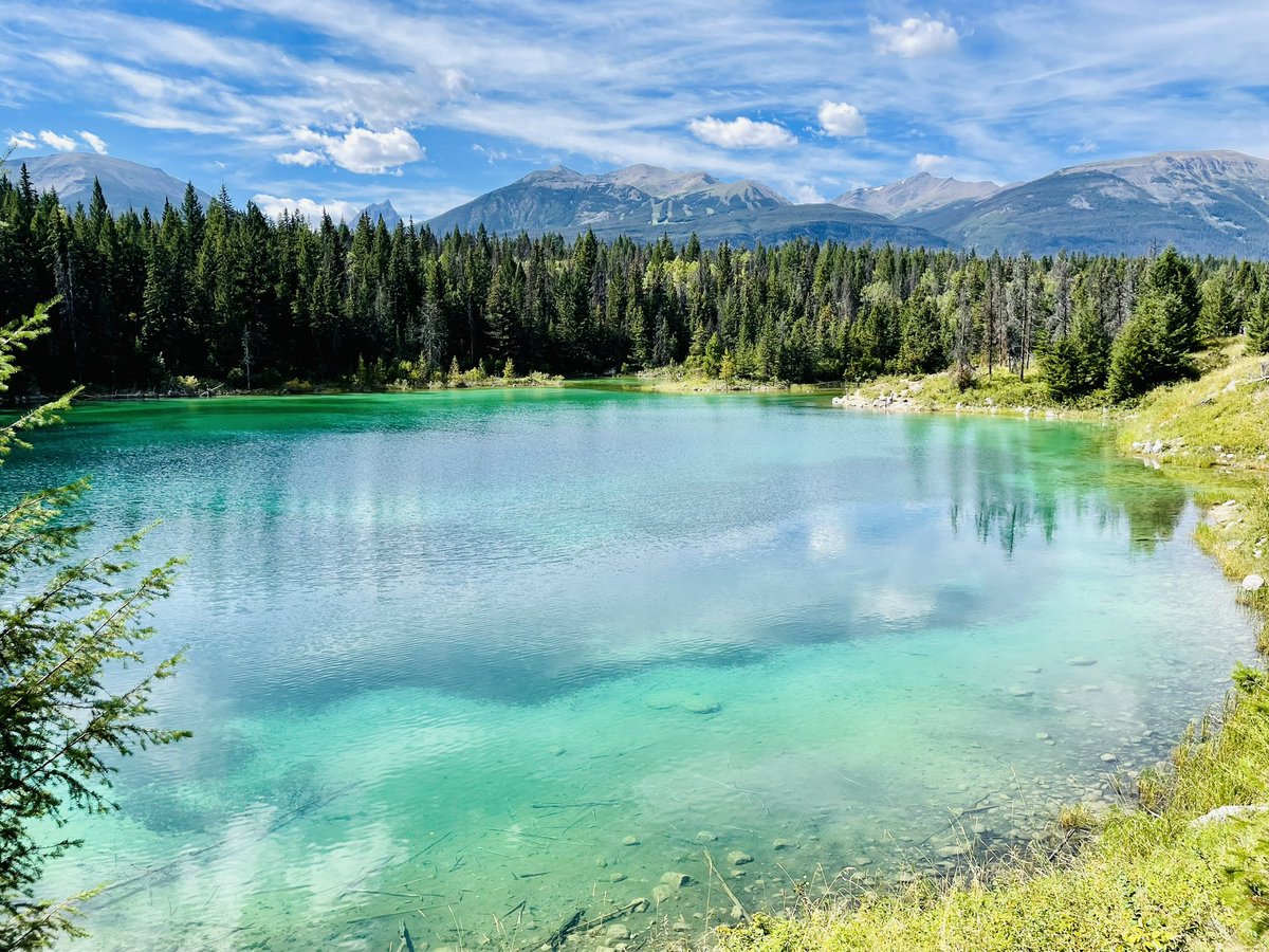 MissTravel91's tweet photo. Jasper National Park 🇨🇦🍁🐻 #canada #travel #visitcanada https://t.co/sQnR3jnRNO