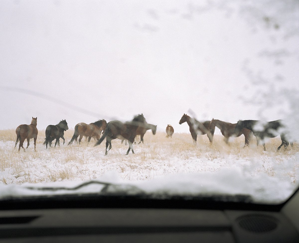 arnaudmontagard's tweet image. Photos from the series I have been working on for the past 3 years