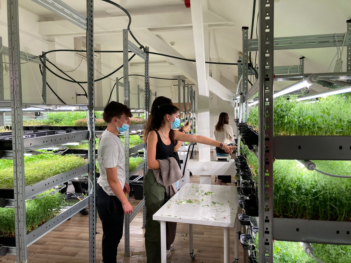 Ins4Cantons's tweet photo. Ahir visita al parlament de Budapest i avui taller en un hort ecològic i un hort hidropòni. @consorciedubcn @EplusCatEdu @sepiegob #ecofood #menjarsostenible #km0 #erasmusplus https://t.co/gYqNJdWH4L