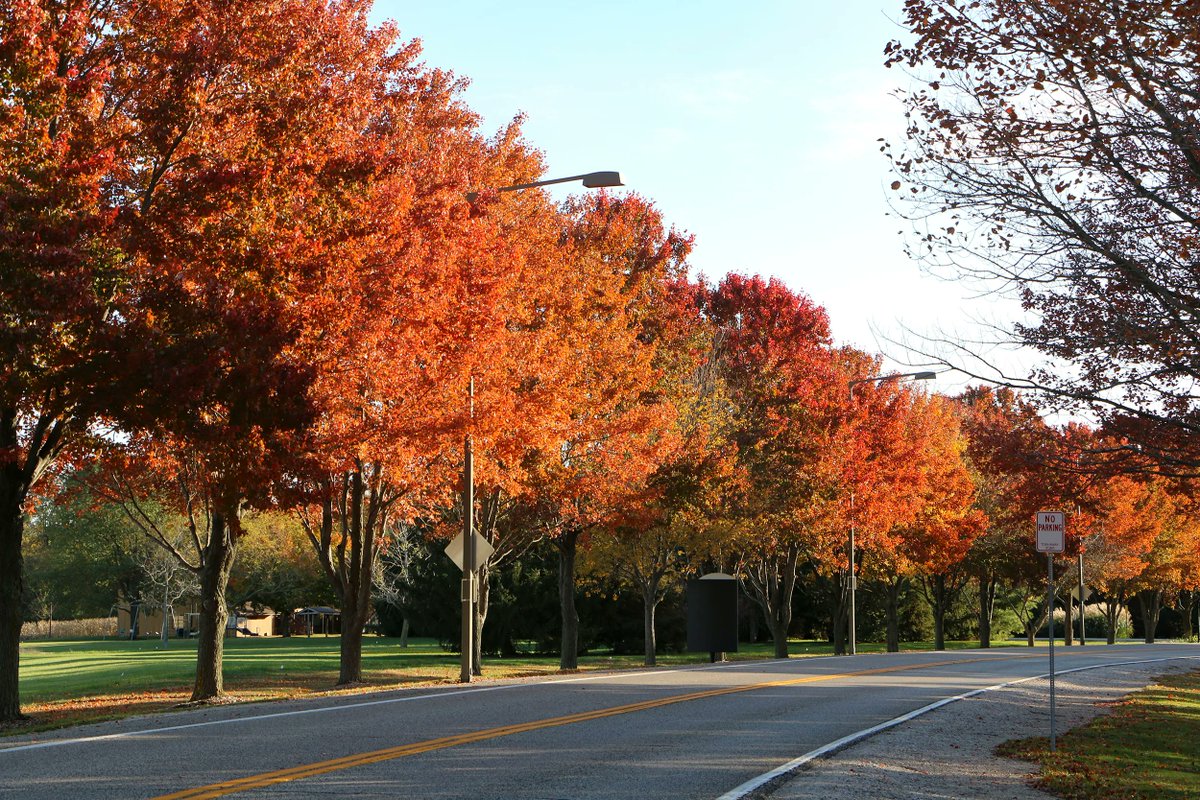 UISedu's tweet photo. Happy First Day of Fall! 🍁 We can't wait to see the fall colors on campus this year, but until then we hope you'll enjoy these fall beauty shots from past years. #FirstDayofFall #FallSpirit https://t.co/krdUzMNbMh