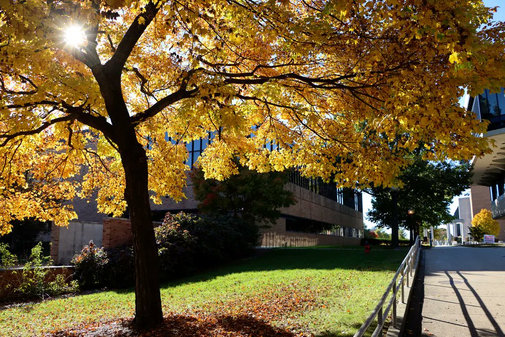 UISedu's tweet photo. Happy First Day of Fall! 🍁 We can't wait to see the fall colors on campus this year, but until then we hope you'll enjoy these fall beauty shots from past years. #FirstDayofFall #FallSpirit https://t.co/krdUzMNbMh
