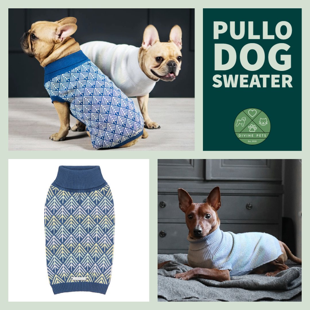 DivinePetsUK's tweet photo. Distinguished and delicate, these beautiful sweaters from Labbvenn are made from the highest quality Italian yarn are perfectly on-trend and offered in two colours and five sizes.

🛒 https://t.co/KcvdHhSQTo

#labbvenn #divinepets #dogsoftwitter #dogs #dogsuk #dogsireland https://t.co/teDpDQstXf