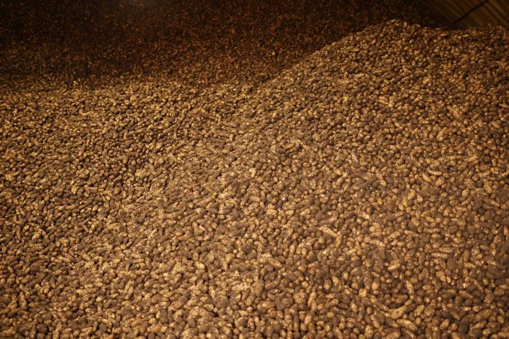 The Brandon Sun 🇨🇦 tweet media