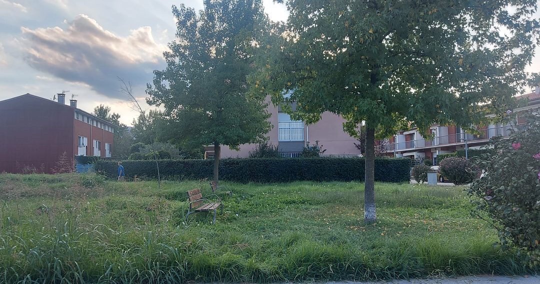 pscolot's tweet photo. ❗️Des del PSC continuem insistint en que cal tenir més cura de l'espai públic. 

📷La situació del Parc del carrer Girgola -entre la carretera de la Deu i l'Avinguda Sant Jordi és lamentable i demanem una ràpida intervenció de les Brigades de Jardineria d’@Olotuit 

#PerOlot https://t.co/gQq43ERgOo