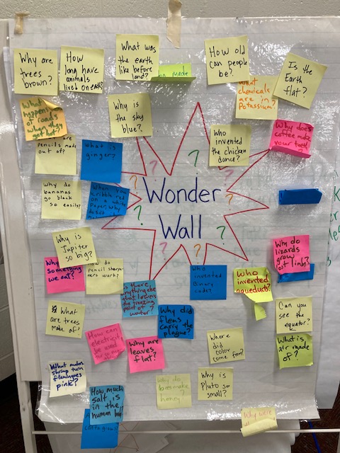 Lucy S. Herring Elementary Library tweet media