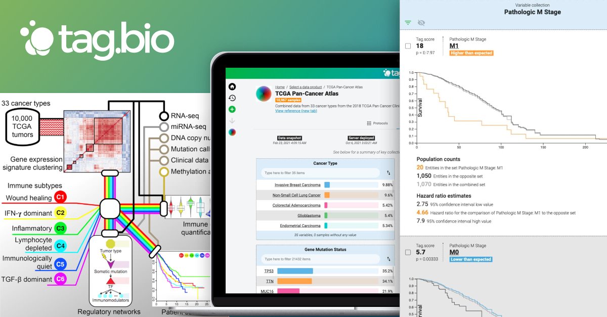 tagbio's tweet photo. Wonder how you can analyze the #TCGA Pan-Cancer Atlas &amp; the Immune Landscape of #Cancer #datasets? We've created something called a "data product" to help you analyze these datasets quickly. No coding or SQL knowledge required! Check it out: https://t.co/lR9oRwEqsi https://t.co/g7ZQ55XTlk