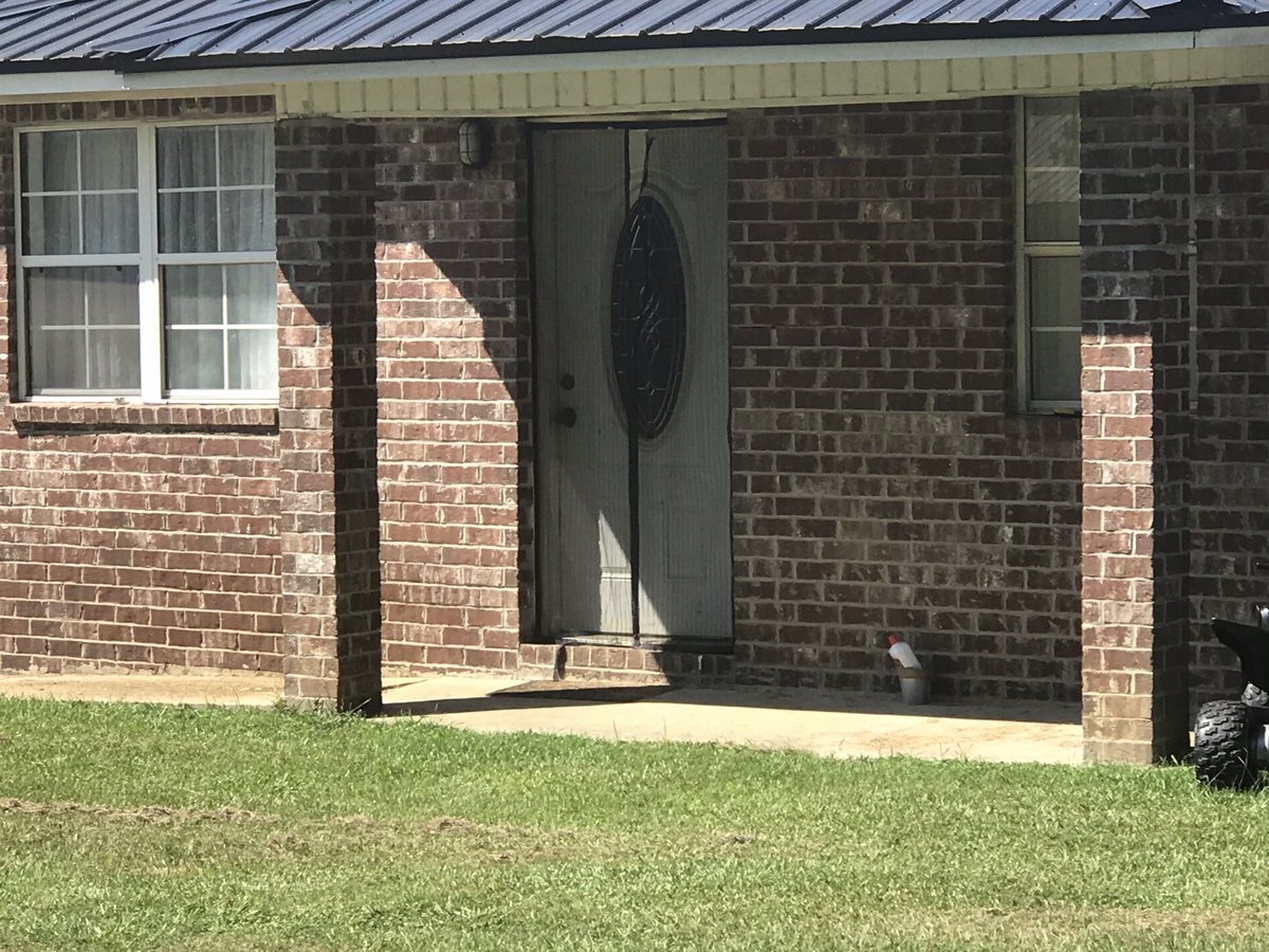 DOG ATTACKS 3 YEAR OLD CHILD: Aliceville Police are investigating a dog attack that happened This morning on Spruce Drive.  A 3 year old boy was outside his house and a neighbors Pit Bull dog bit him on his head.  The victim was taken to DCH. Police expect the child to survive