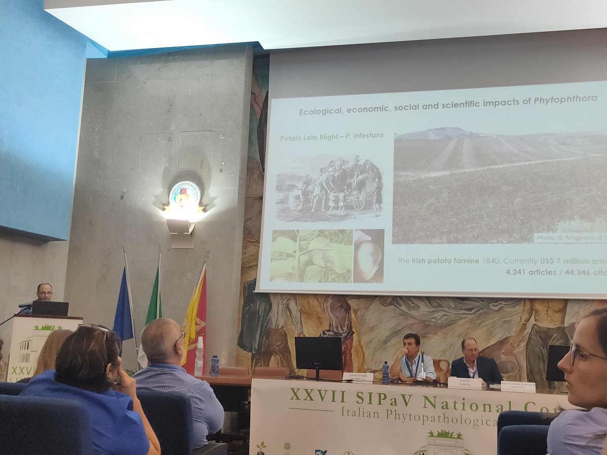 JoanaGVicente's tweet photo. On the first day we had a session on Forest Pathology followed by a session on New Approaches for Detection, Identification and Characterisation of Plant Pathogens. #SIPaV https://t.co/Izy7QgT2Bx