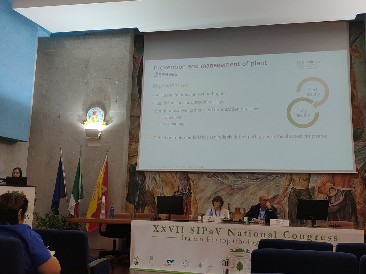 JoanaGVicente's tweet photo. On the first day we had a session on Forest Pathology followed by a session on New Approaches for Detection, Identification and Characterisation of Plant Pathogens. #SIPaV https://t.co/Izy7QgT2Bx