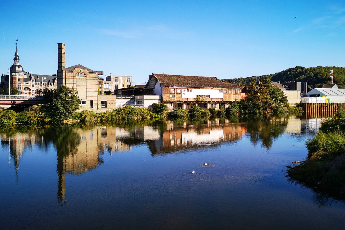 Live From Liege tweet media