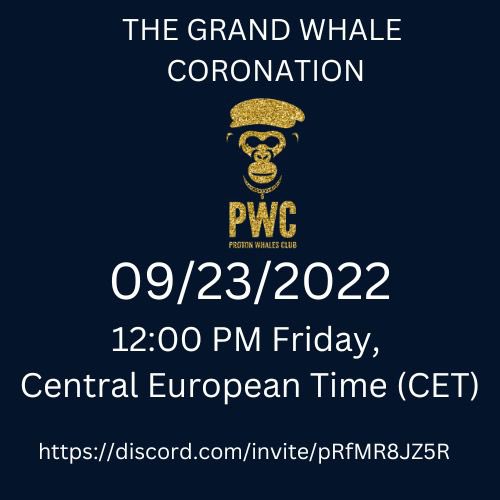 ℙroton Whales Club ( ℙWC ) tweet media