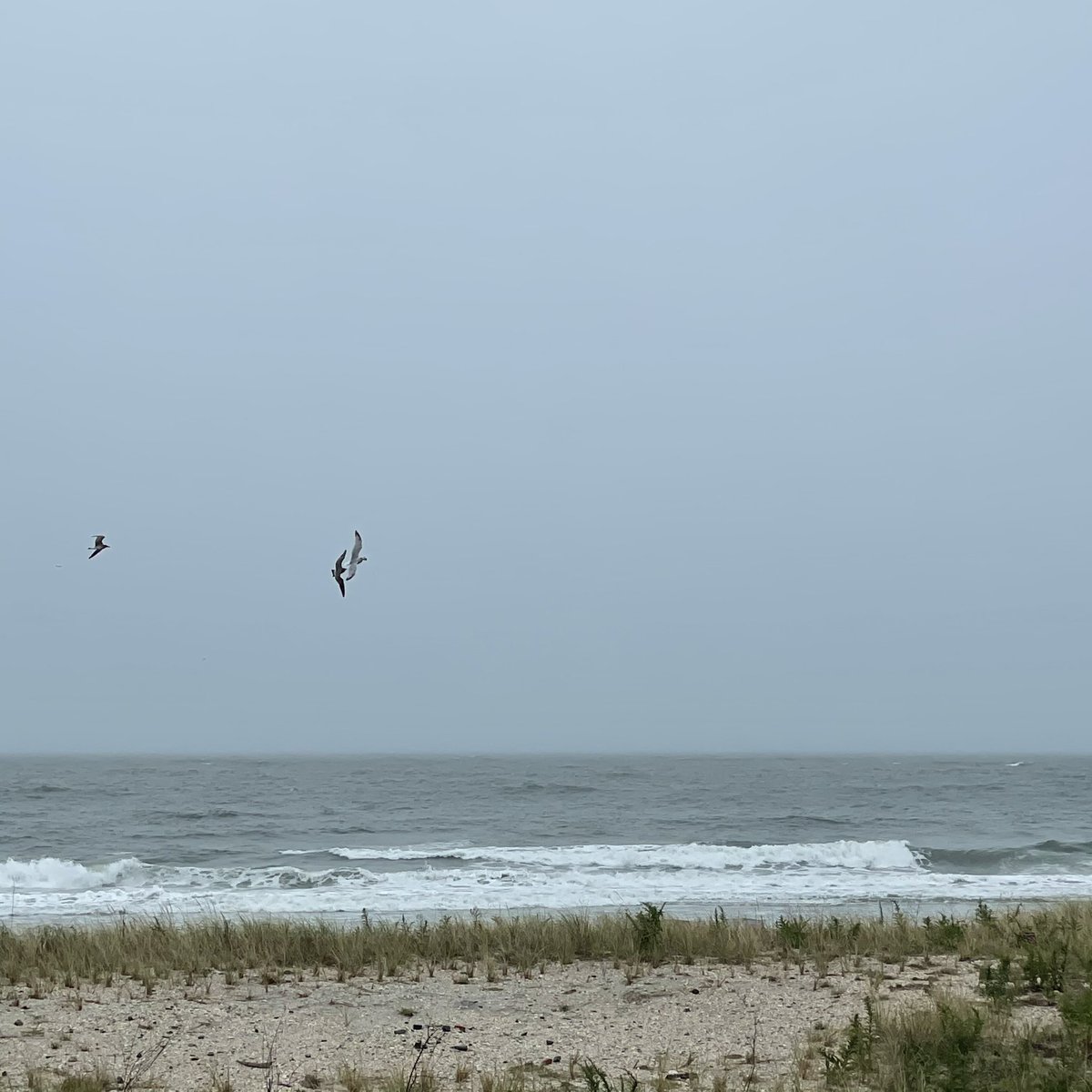 StayAdventurous's tweet photo. Always a joy to see waves.
#AtlanticCity #oceanAC https://t.co/WjwLR2IhNd