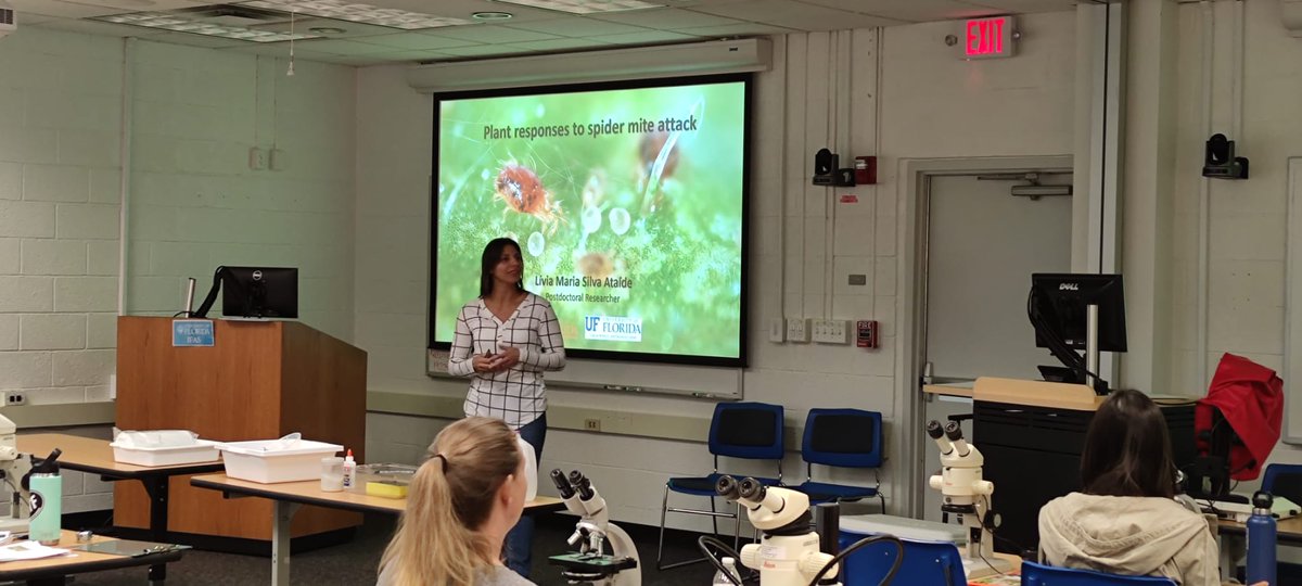 alex_revynthi's tweet photo. Dr. Livia Ataide in her #postdoc focuses on the #lychee erinose mite and its interaction with the plant. Thank you Livia for your contributions to the lab, your passion and persistence with this challenging project! #PostocAppreciationWeek @UFTropical @UFEntNem https://t.co/1Mc45jmDjd