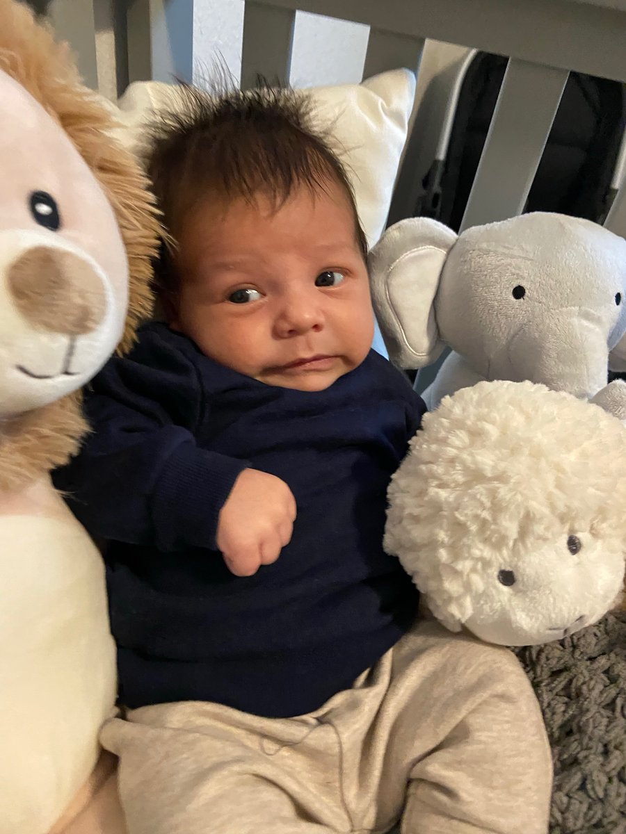 sarastryingit's tweet photo. Twitter gets Hendrix’s photos that never made the cut in honor of his 1st birthday ☺️ https://t.co/NNXYR59pc6
