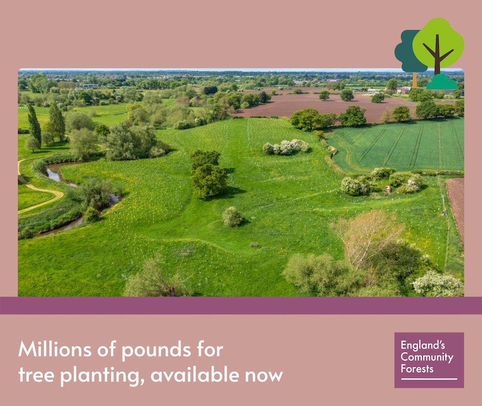 Grants available to:

🌳Cover up to 100% of the cost of tree planting, including guards and stakes
🌳Meet up to 15 years of maintenance payments

We offer one of the best woodland creation grants available today

Landowners⤵️ 
☎️01925 816217 
📧mail@merseyforest.org.uk