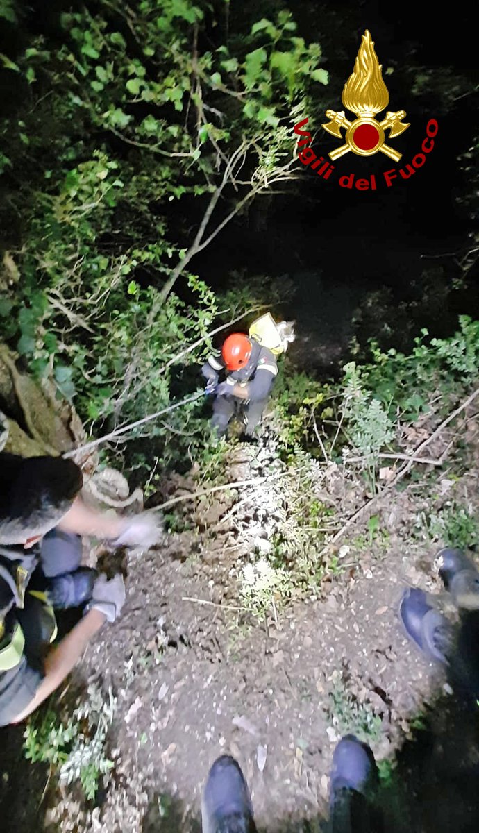 vvfveneto's tweet photo. #22settembre #Chiampo(VI), la notte scorsa, #vigilidelfuoco sono intervenuti per salvare un cagnolino, segnalato da alcuni passanti in fondo a un burrone a ridosso del greto dell’omonimo torrente. Il cane recuperato da un operatore SAF, consegnato al cinovigile #soccorsianimali https://t.co/L7c3ABEtfW