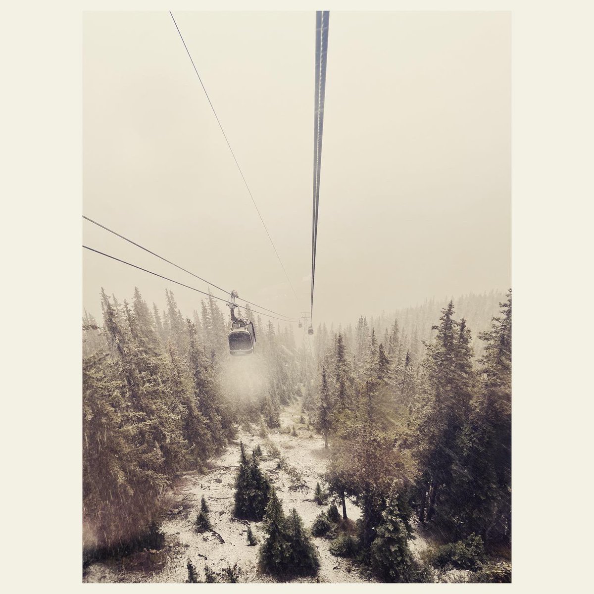 scottwhoatson's tweet photo. Day off from Pottering. Banff visits.
Hike up a mountain they said….The views are incredible they said. No one mentioned a white out.😝🇨🇦
#banff #banffnationalpark #banffcanada #sulphurmountain #hotsprings #hike #hiking #hikeup #pottedpotter #views #whiteout #itscomingin #Canada https://t.co/RNaQWF4ai0