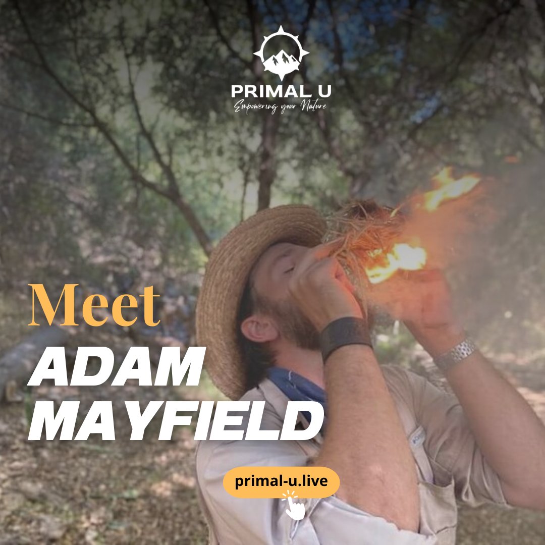 Primal U tweet media