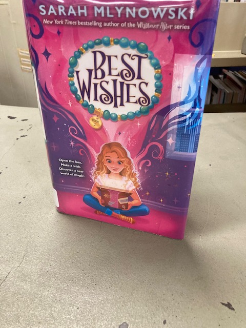 Lucy S. Herring Elementary Library tweet media