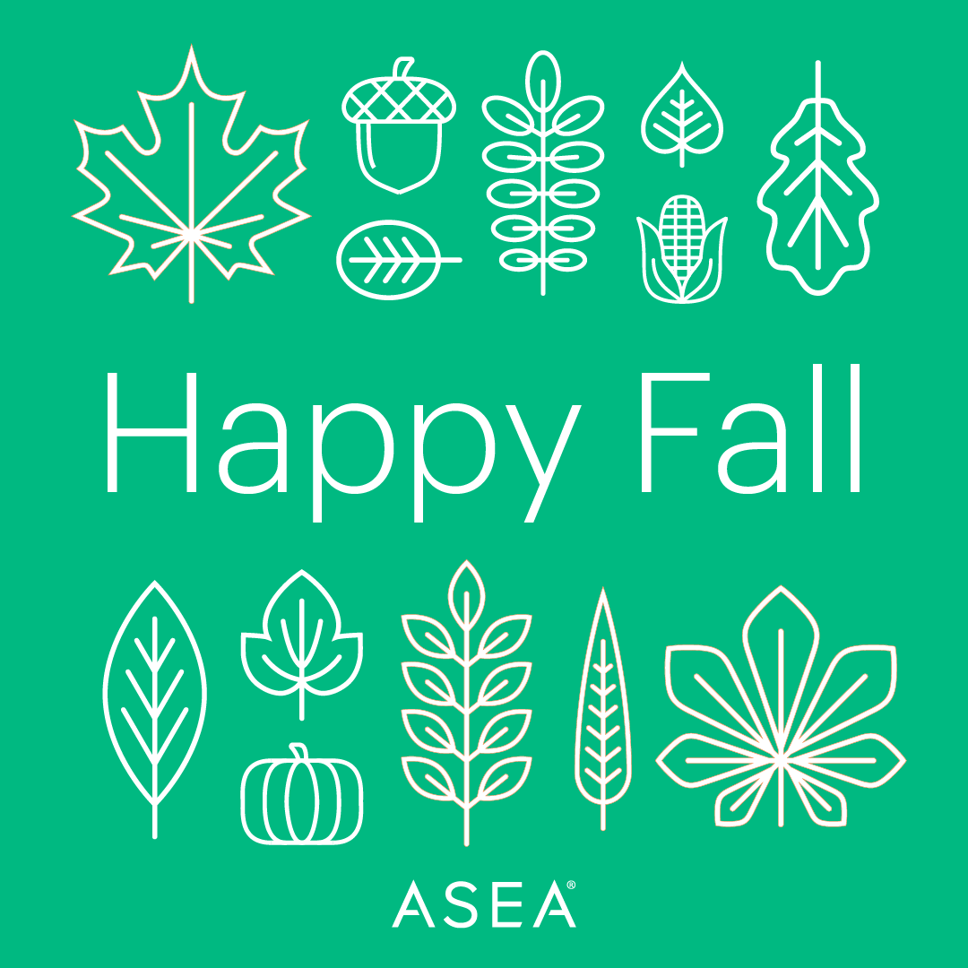 ASEA Corporate tweet media