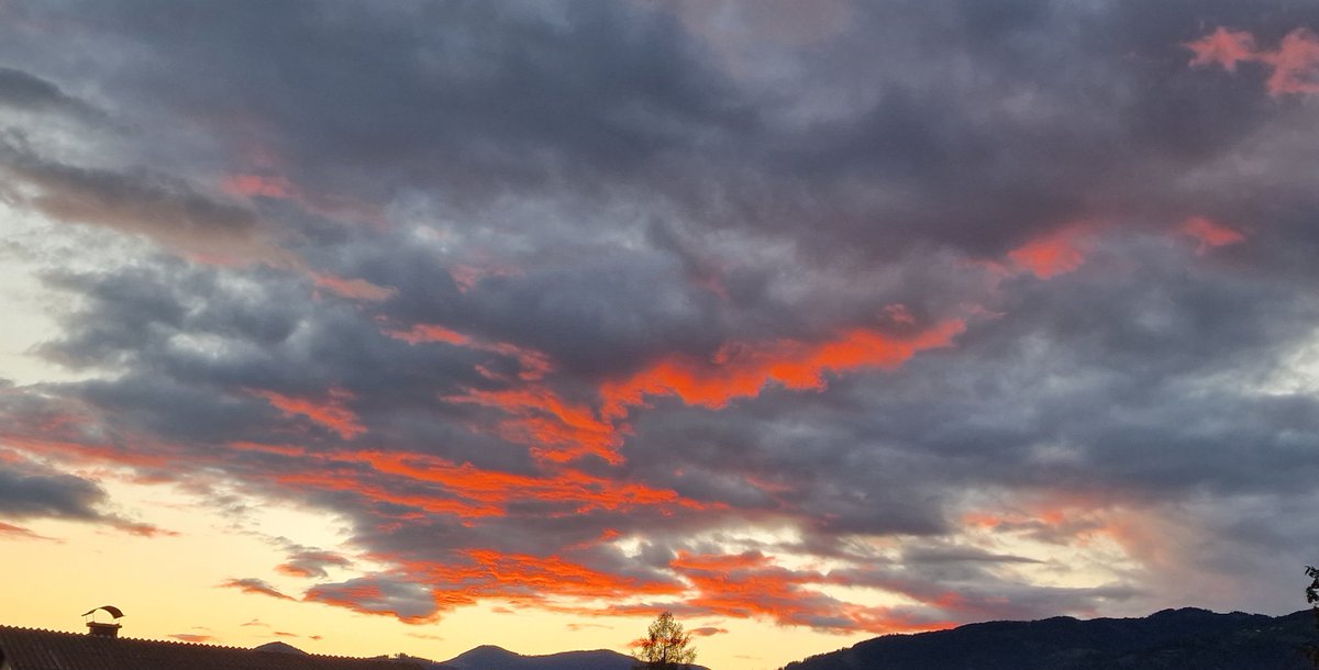 Birgit_BTS's tweet photo. breathtaking sunset over austria ๐
22.09.22
#Vsunset
@armysunsets
@BTS_twt https://t.co/ETrrYq0dCu