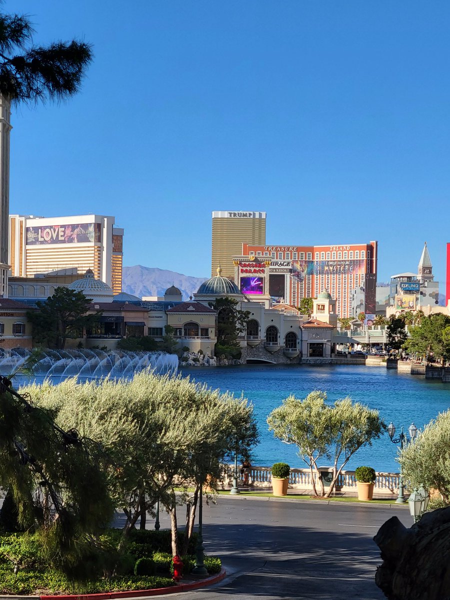 LadyTrooper97's tweet photo. Good Morning Las Vegas! Happy Thursday! Happy Trooper Thursday! 😎♠️♥️♦️♣️ #gogamble https://t.co/lO9RstCQrx