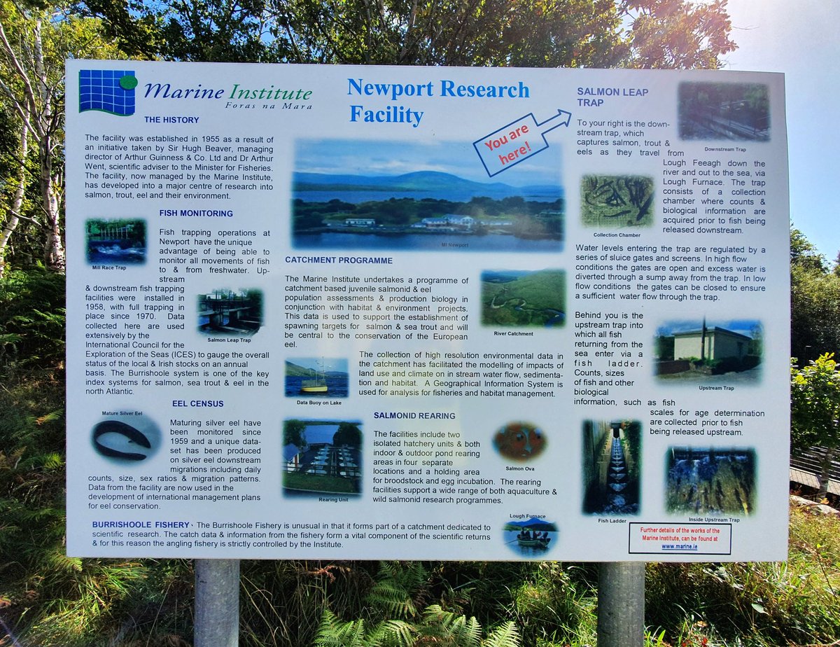 c_duigan's tweet photo. Monitoring the Irish #environment - thank you @edeeyto & @MarineInst #Burrishoole colleagues for the overview of your internationally important facilities and latest research #collectonceuseoften #Salmon #climatechange #catchmentresearch #Mayo #Ireland https://t.co/KvyZLDejot