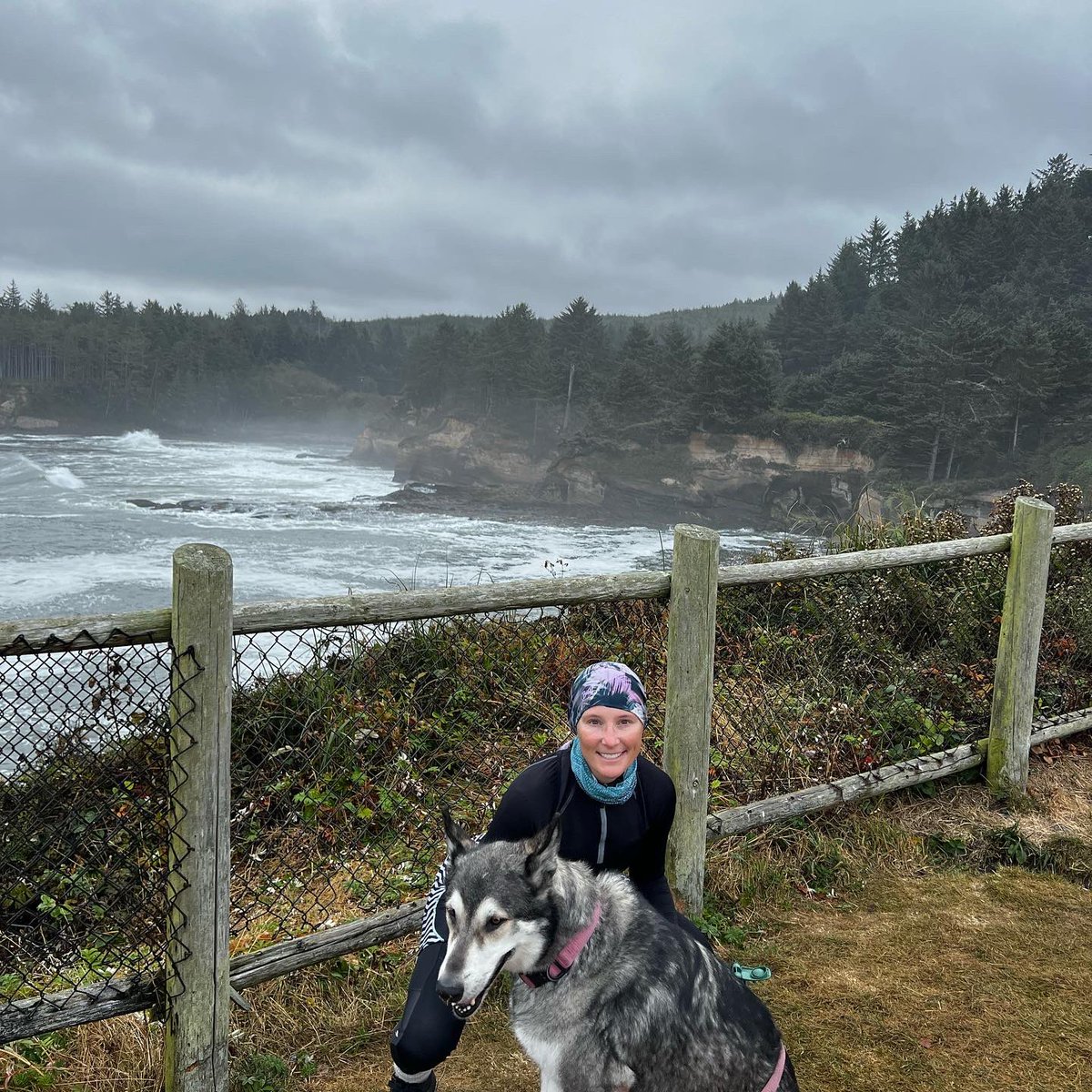 UltimateExposu2's tweet photo. Cycling from Alaska to Argentina. Right now in Oregon https://t.co/tqt9ukmybh