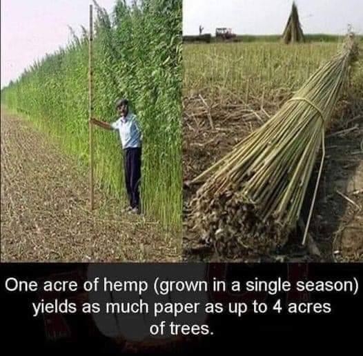 Kansans For Hemp tweet media