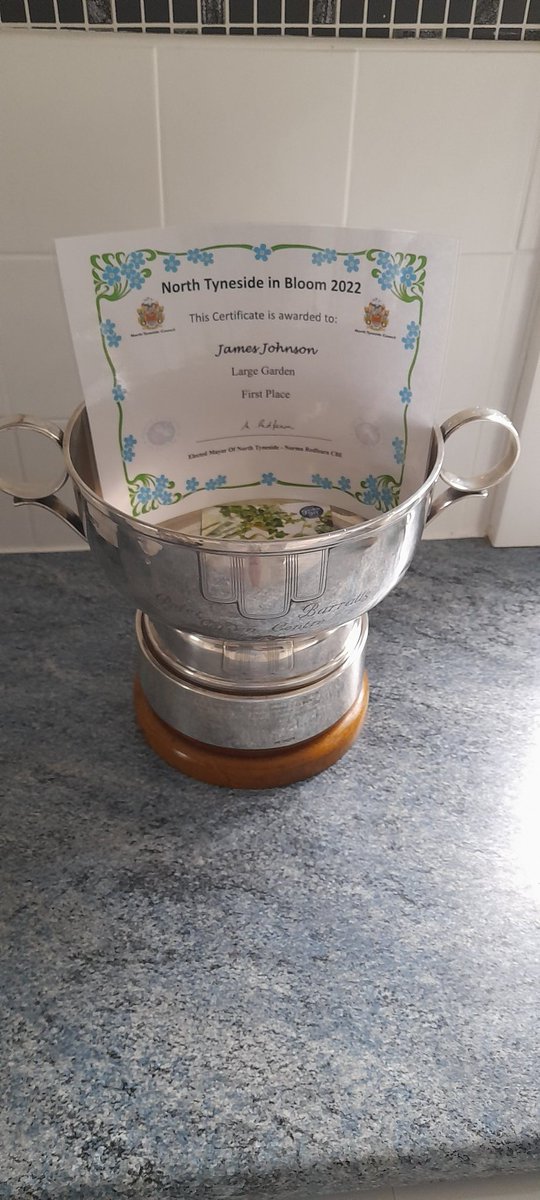 JimmysGarden's tweet photo. #NorthTynesideInBloom2022 #FirstPlace #LargeGarden 🌿🌿 https://t.co/IgOO8jB7Dx