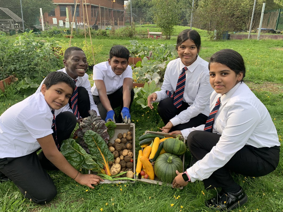 Joyful harvesting in the Springwest Blooms garden!