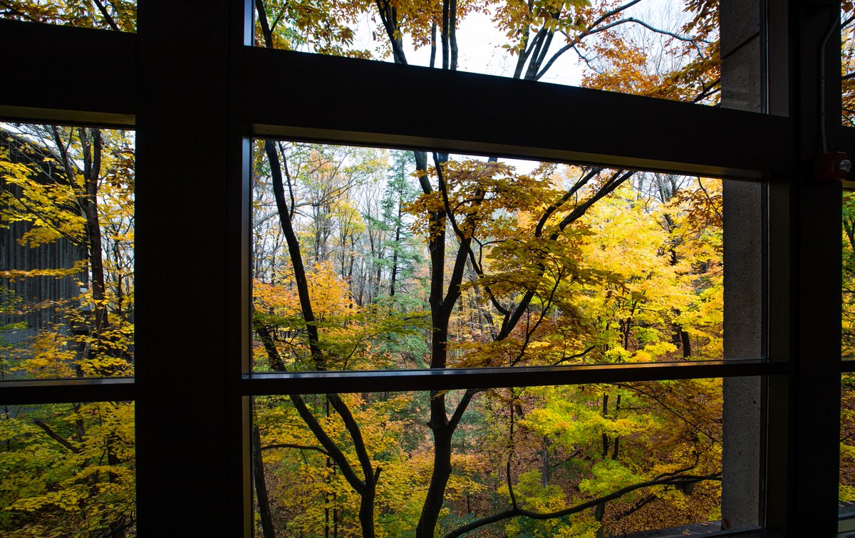 OntScienceCtr's tweet photo. Happy autumnal equinox! Let the fall colours begin. #FirstDayofFall 🍁🍂 https://t.co/JNmaoFg544