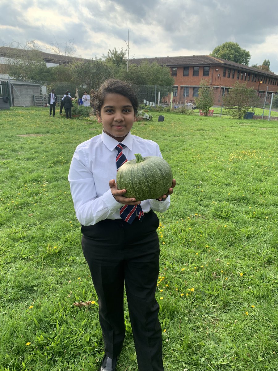 Springwest Blooms tweet media