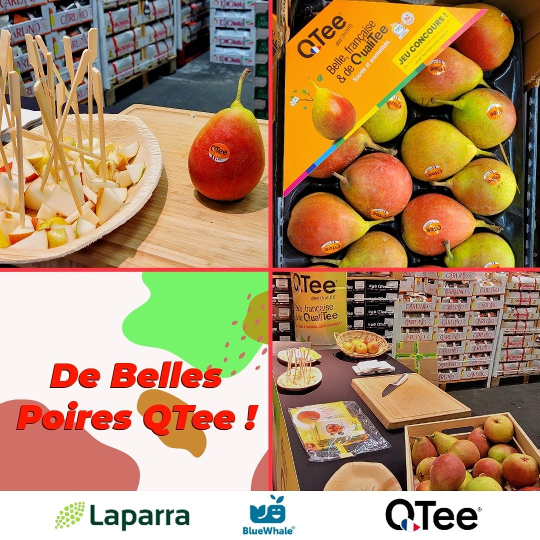 AgenceLaparra's tweet photo. Aujourd’hui à #rungis a eu lieu une #animation autour de la poire #QTee de @BlueWhale ! Merci à @zalherfreres et Clément&fils, nos grossistes partenaires ! 😋🍐
#laparra #bluewhale #qteepear #pear #poire #qtee #fruits #minderungis #marchederungis https://t.co/xZ9B92unBY