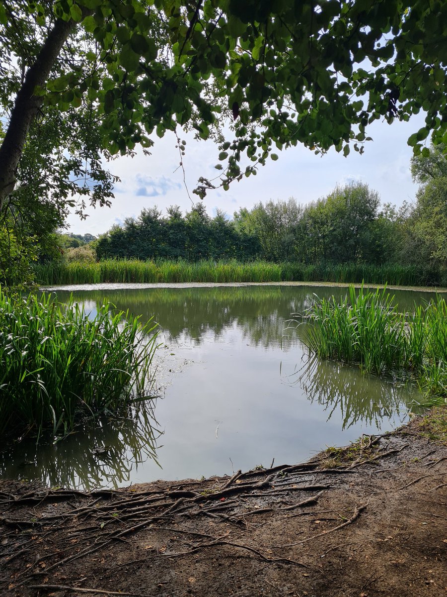 Today was our first team away day face to face in person since before the pandemic. Held at the beautiful hinchingbrooke country park. We did an exercise seeing what the wider perinatal team see as OT role vs then what OTs actually offer! 
#perinataloccupationaltherapy