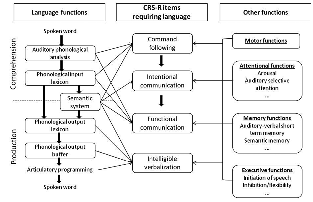 SeminNeurol (@seminneurol) on Twitter photo Influence of language and motor/cognitive functions on CRS-R (Coma Recovery Scale-Revised) language-related items, from "Language Assessment in Patients with Disorders of Consciousness" by Charlène Aubinet, MSc, PhD. Subscribe to Seminars in Neurology at bit.ly/3KsxVgn Influence of language and motor/cognitive functions on CRS-R (Coma Recovery Scale-Revised) language-related items, from "Language Assessment in Patients with Disorders of Consciousness" by Charlène Aubinet, MSc, PhD. Subscribe to Seminars in Neurology at bit.ly/3KsxVgn