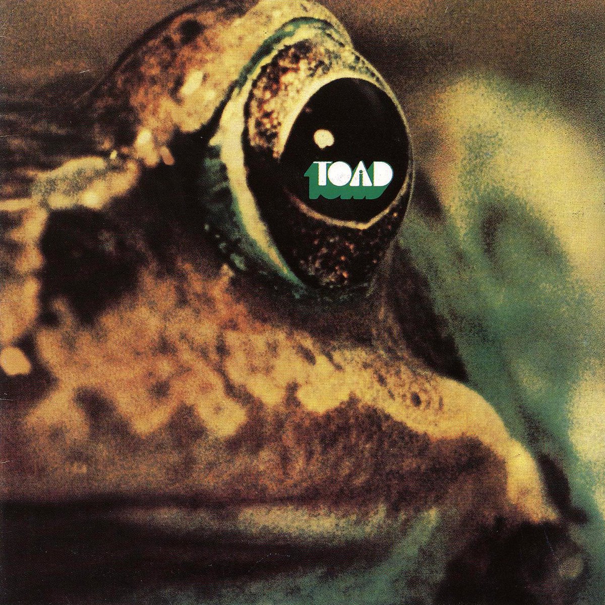 dbmagazine's tweet photo. In which we leap into Toad’s hard-rockin’ self-titled 1971 debut. https://t.co/brCqKwa1pb #toad #protometal #primitiveorigins https://t.co/z5TlyV9dZ8