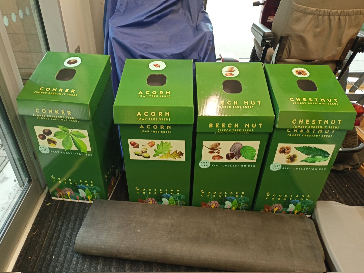 Gary__Bingham's tweet photo. Some work days are happy days🏃🏻 Made an old woman smile as she did me on suggesting "hello handsome!" I kindly declined,if only!🥹🙅🏻
Then registered there are #TreesForLeeds collection boxes at the park, I'd best get collecting & leave some for the squirrels!🏃🏻🐿️🌰#leeds #nature https://t.co/zK8ZzbF4ie