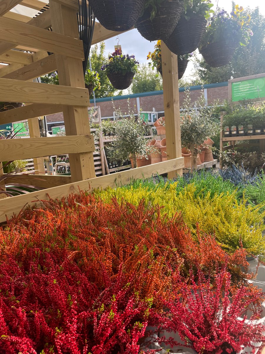 franwharrey's tweet image. heather is out and proud