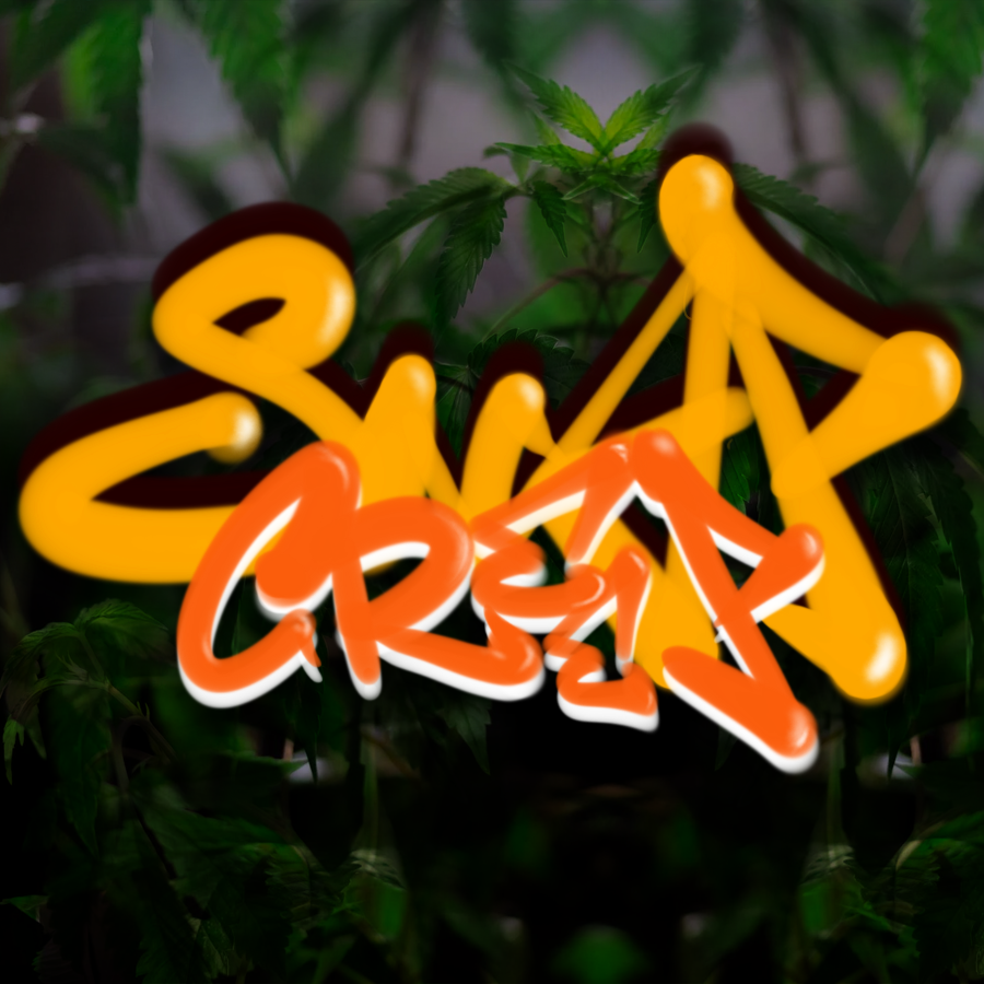 cyberpfp's tweet photo. New Artists Join CyberPFP
#SnapCreep
#opensea #nft #nftcommunity #nftcreation #pfp #cyberpfp
https://t.co/Q7YfPgOFIk https://t.co/O5anRKNgUl