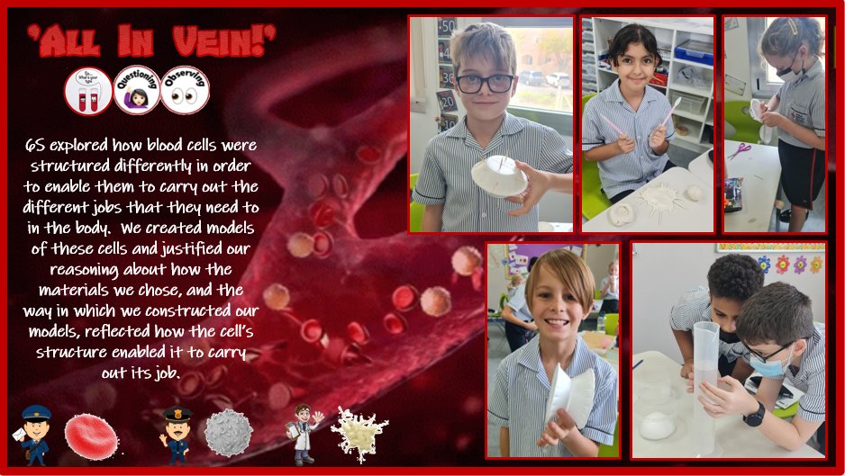 Year 6 | DBS Emirates Hills tweet media