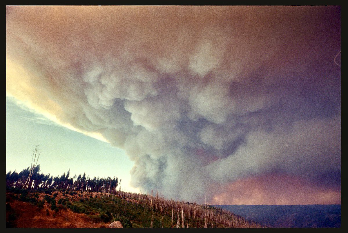 thomasbroening's tweet photo. Mosquito Fire . 9/8/2022 @jeffskoll @larrybrilliant #MosquitoFire #wildfire #theendofthedream https://t.co/Hd8m1UUc6s